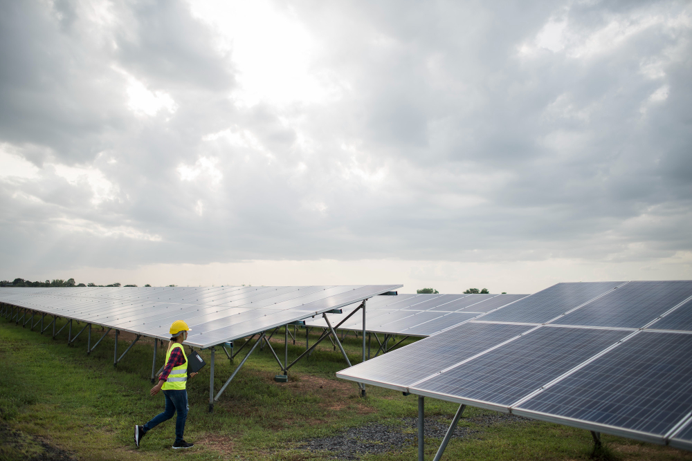 Why Your Neighbour Has Solar and You Should Too