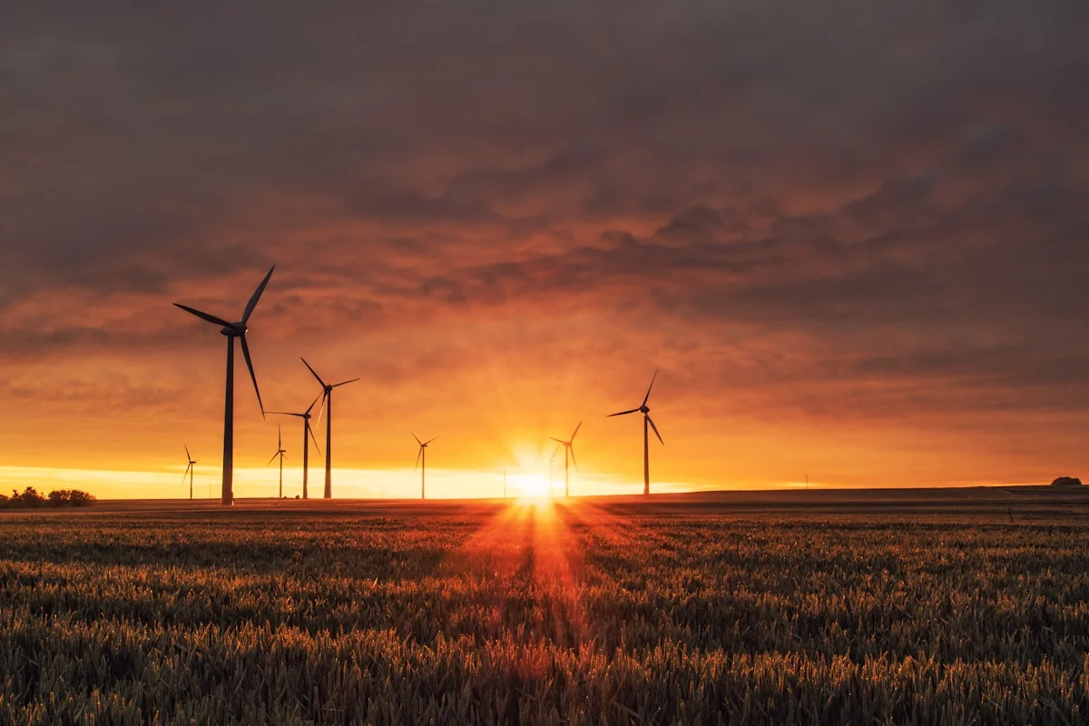 Every Solar Rebate Available in Australia in 2025 and How to Claim Them All