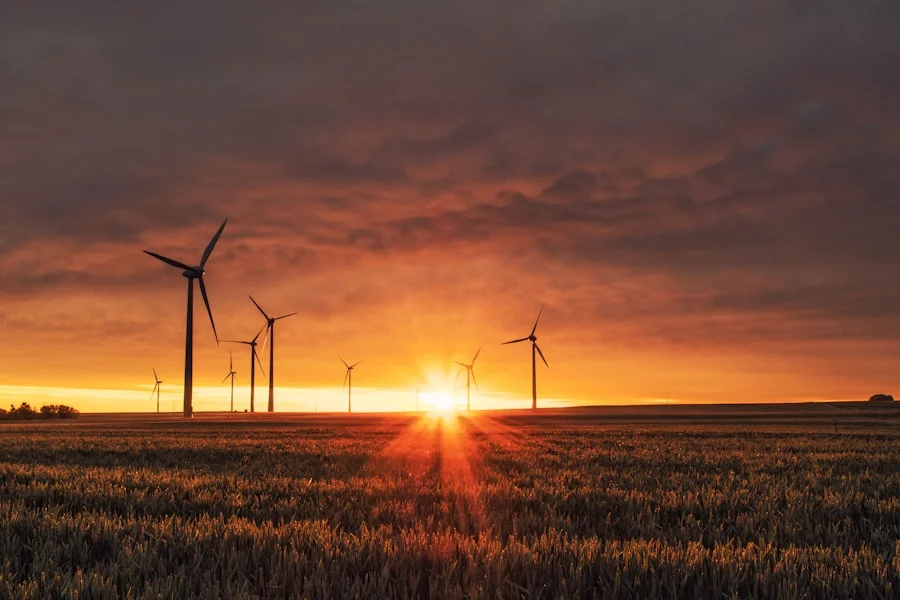 Australian homeowner enrolled in virtual power plant program earning credits